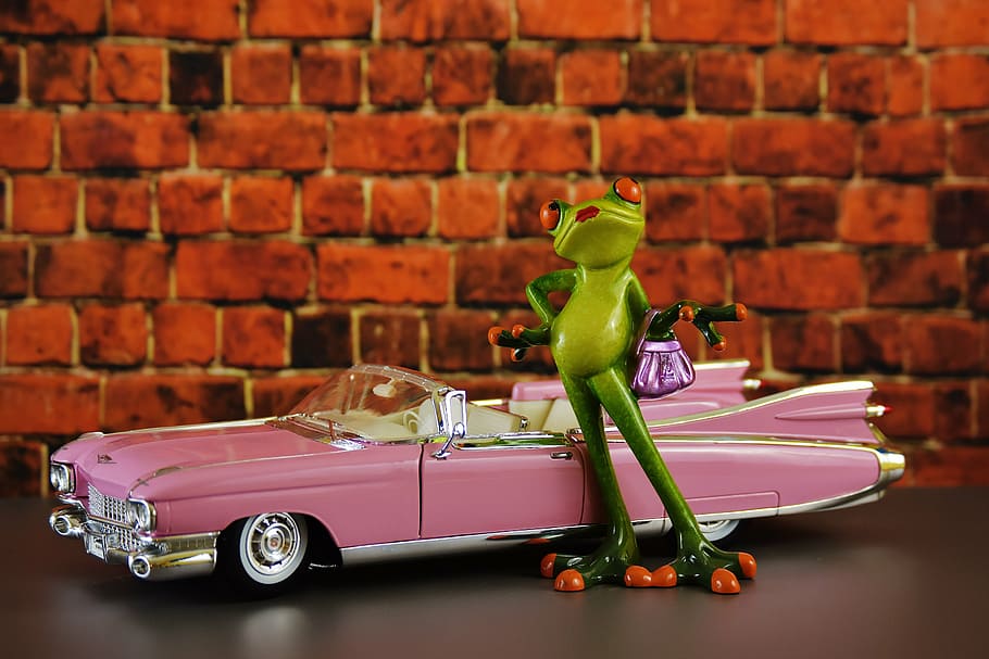 red-eyed tree frog beside pink convertible figurine, cadillac, HD wallpaper