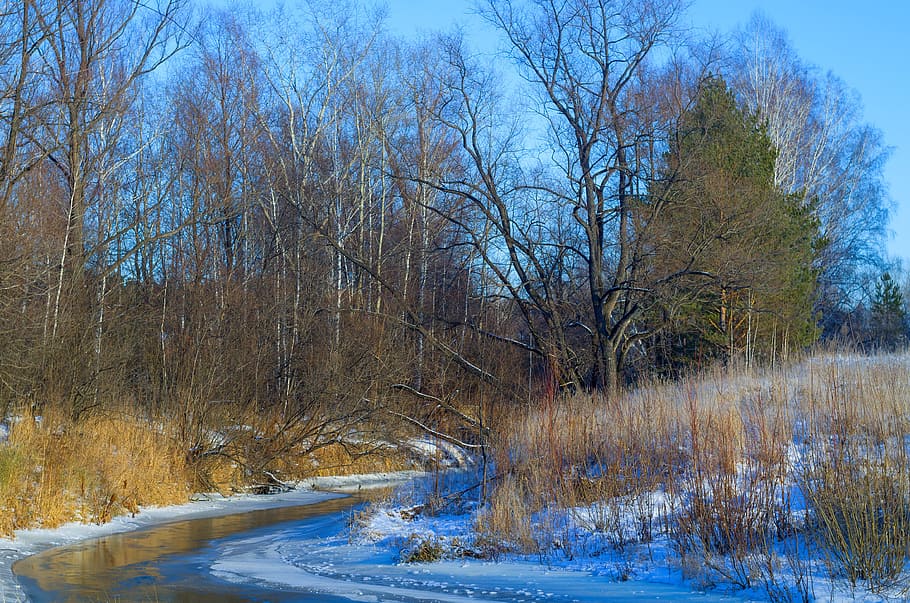 River, Snow, Quiet, autumn, quiet river, autumn on the river HD wallpaper