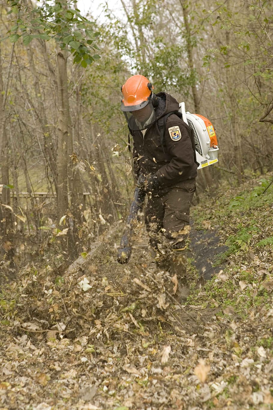 path, clear, blower, leaf, using, employee, service, men, male HD wallpaper