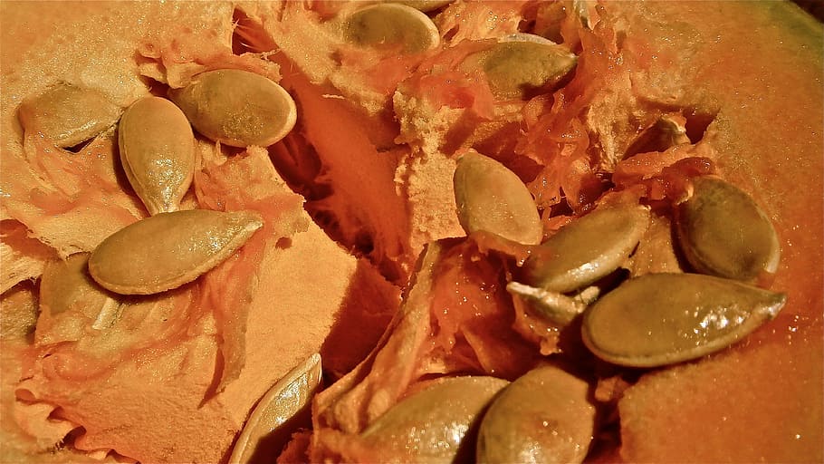 pumpkin, fruit, seed, vegetable, nature, food and drink, indoors HD wallpaper