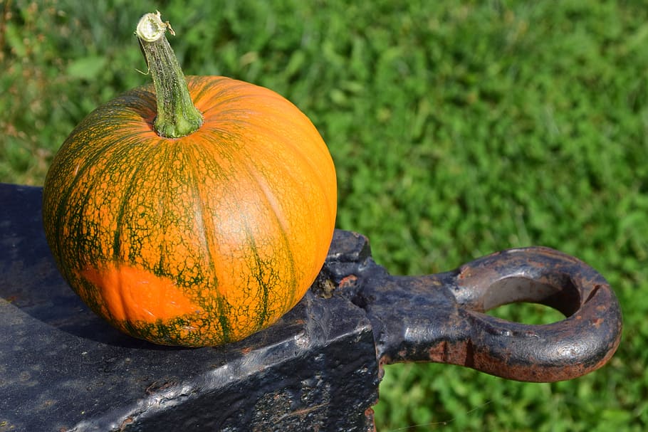 pumpkin, harvester, trailers, autumn, red, yellow, gourd, straw HD wallpaper