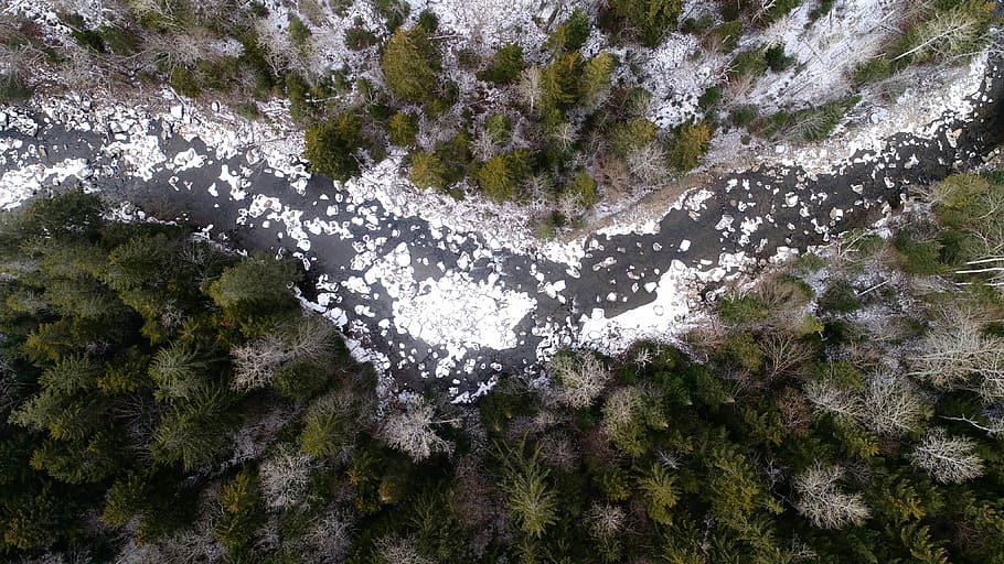 aerial photography of a river between the forest, scenery of trees HD wallpaper