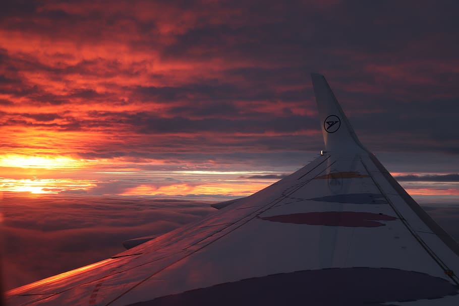 sun, aircraft, clouds, sky, window, aircraft window, condor HD wallpaper