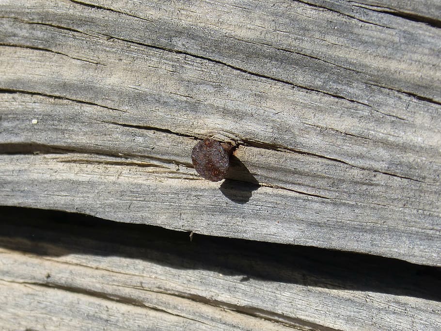 nail, old wood, rusty, wood - material, close-up, day, textured HD wallpaper