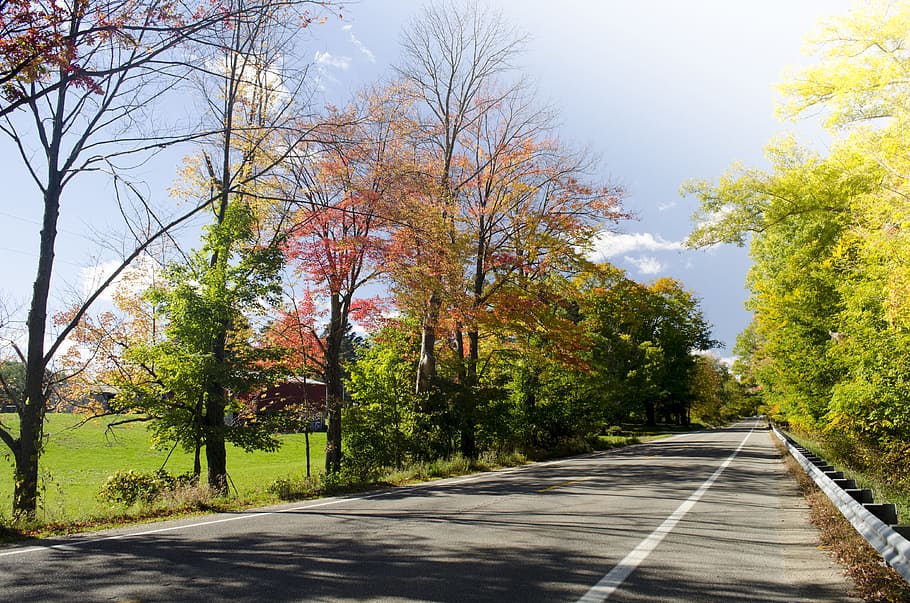Road, Fall, Countryside, Asphalt, scenery, travel, wood, transportation HD wallpaper
