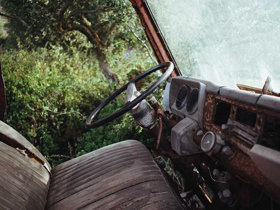 steering near car seat, black vehicle near green leaf tree, abandoned HD wallpaper
