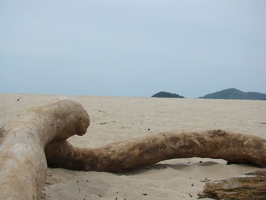 beach, sand, trunk, flying, sky, land, nature, scenics - nature HD wallpaper