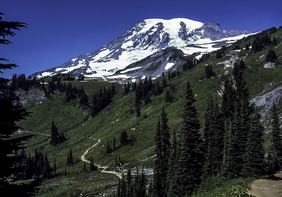 View of the peak at Mount Rainier National Park, Washington, photo, HD wallpaper