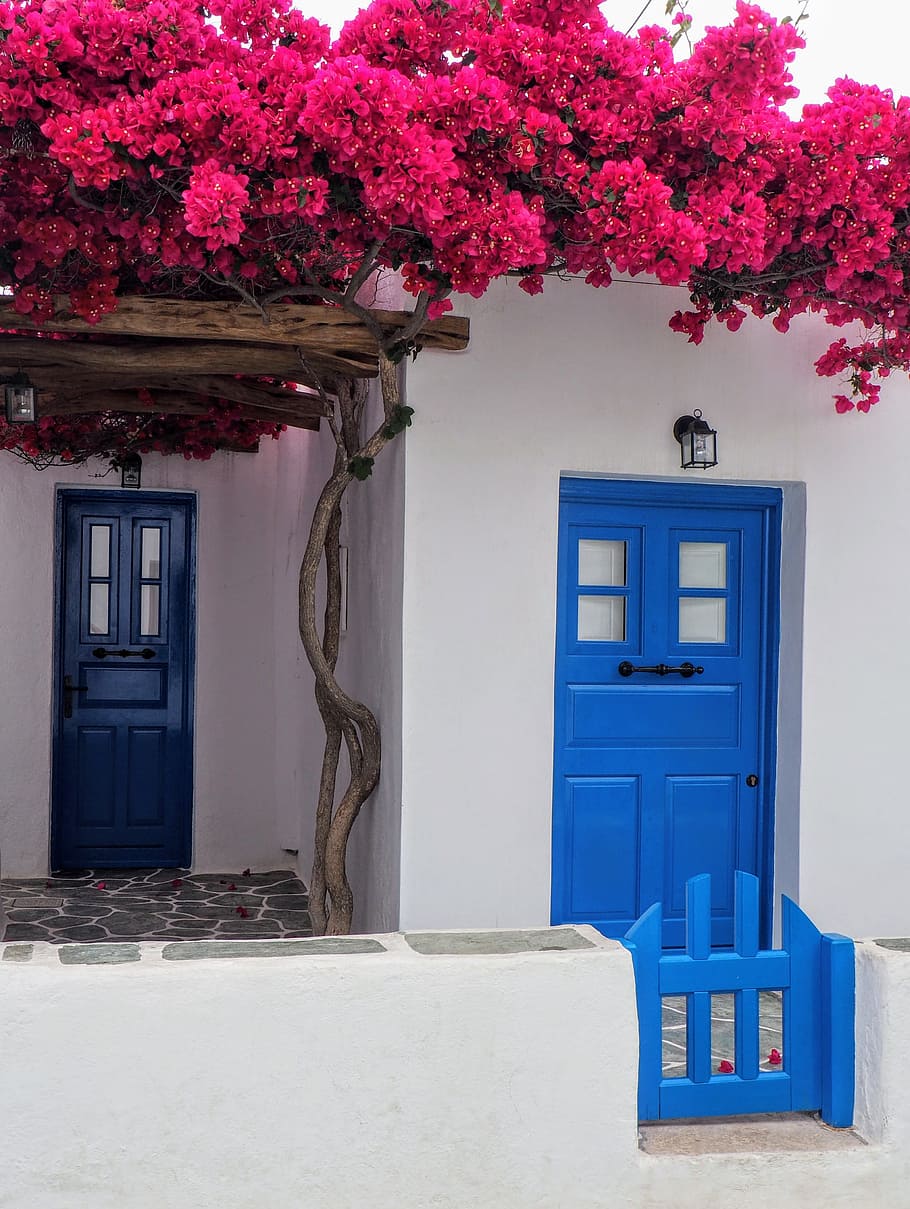 white concrete house with blue wooden doors and red flowers on top of it, HD wallpaper