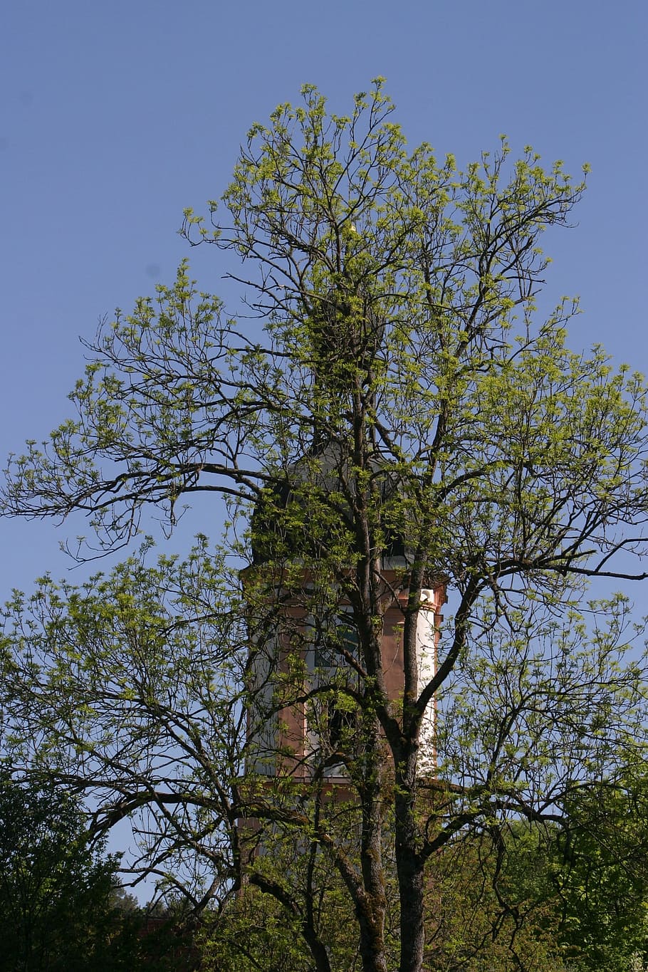 Church, Spring, Trees, Schambach, schambach valley, altmühltal nature park HD wallpaper