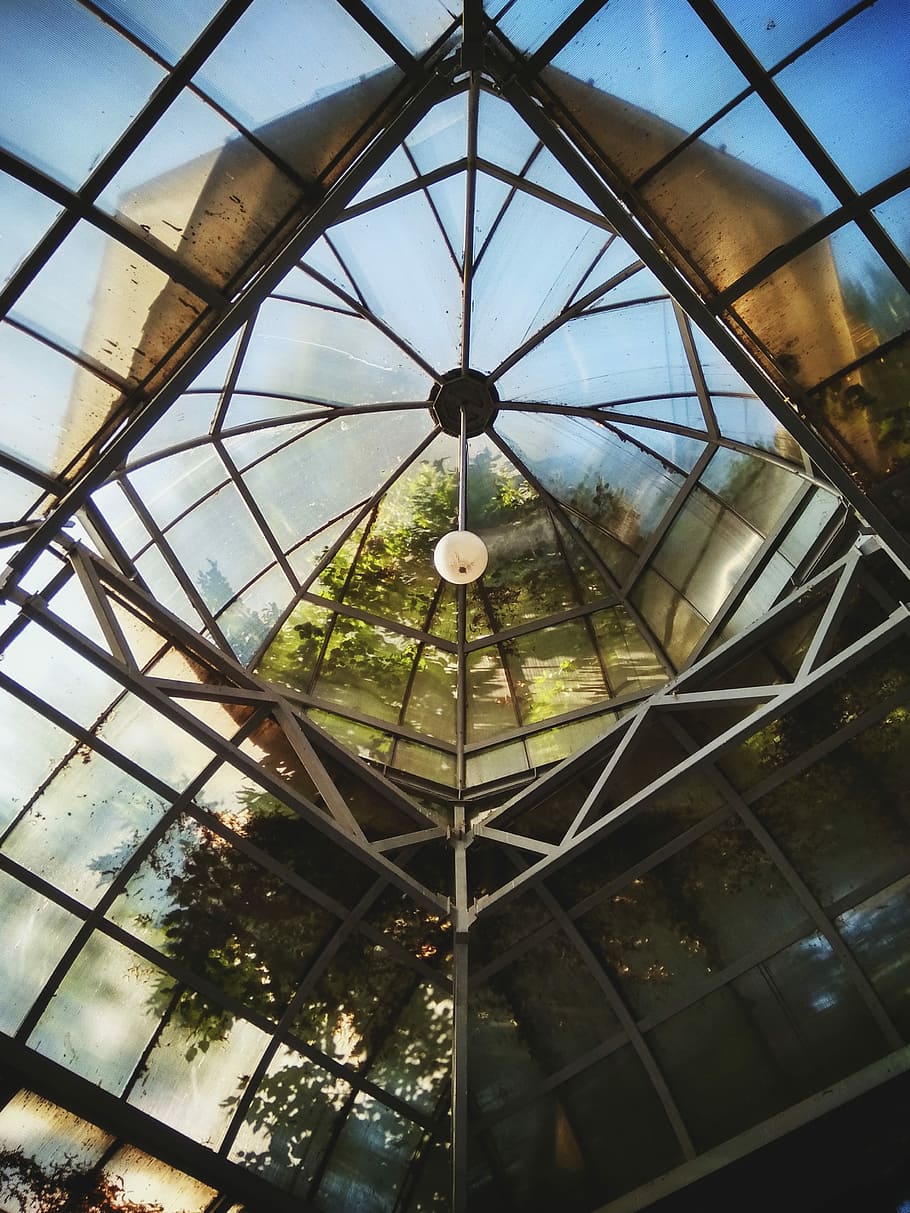 low angle photo of glass building, architecture, ceiling, windows HD wallpaper
