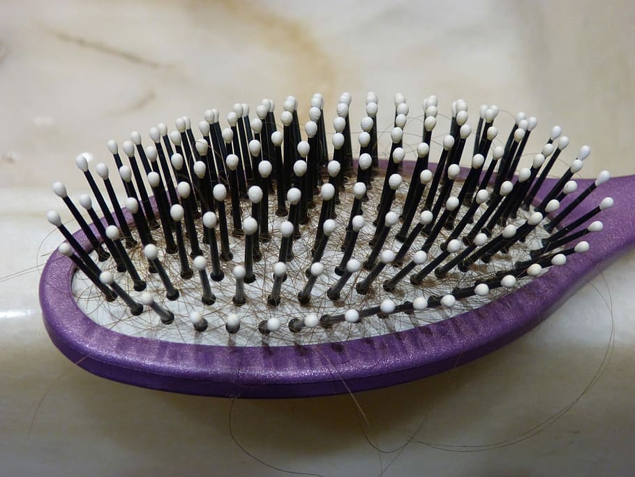 purple, black, and white hair brush on white textile, Comb HD wallpaper