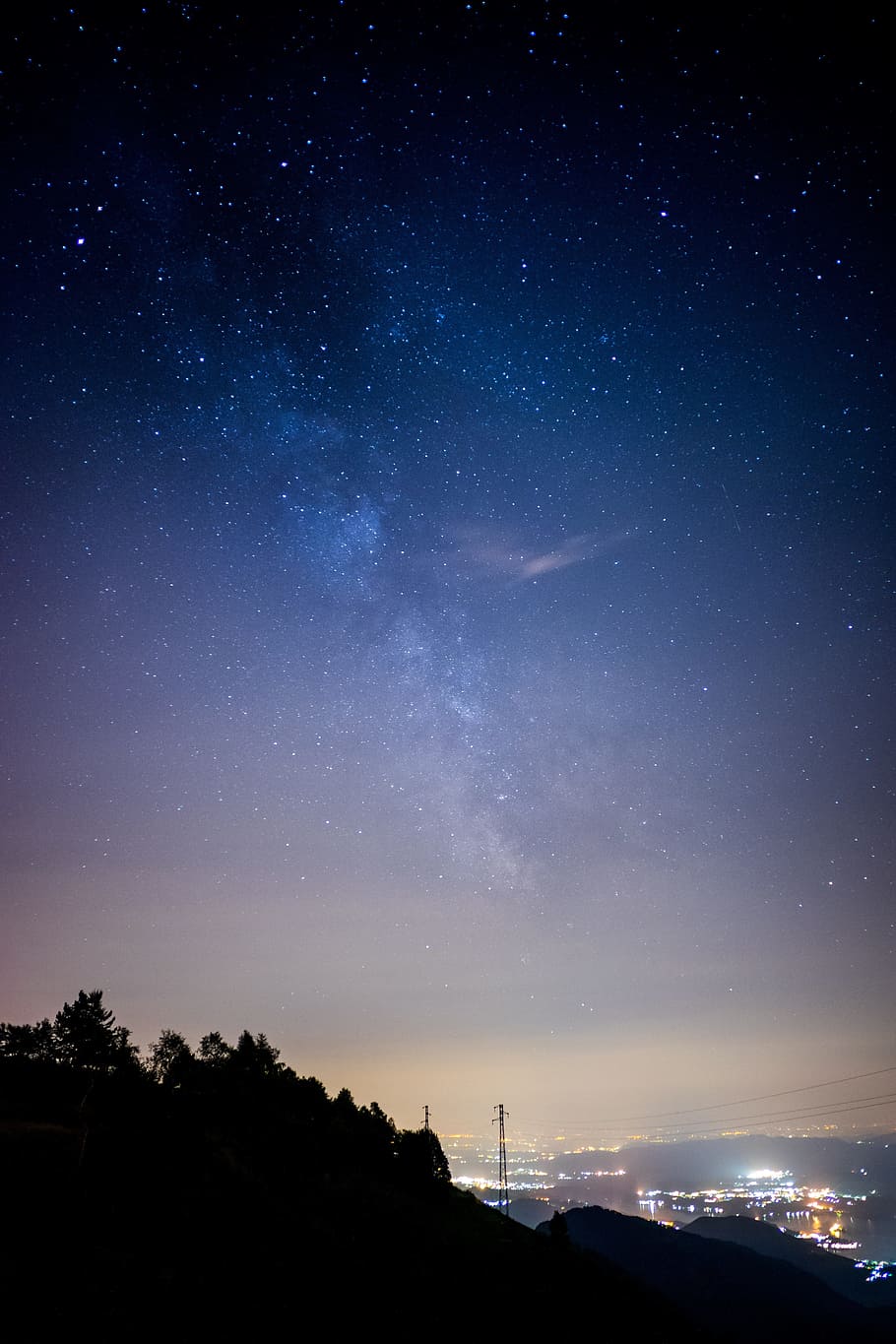 dark, night, sky, stars, tree, plant, city, lights, star - space HD wallpaper