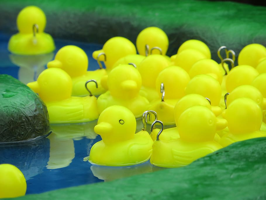 hook-a-duck, funfair, yellow, plastic, carnival, prize, amusement HD wallpaper