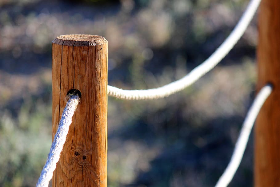 poles, strings, beach, holiday, wood - material, focus on foreground HD wallpaper