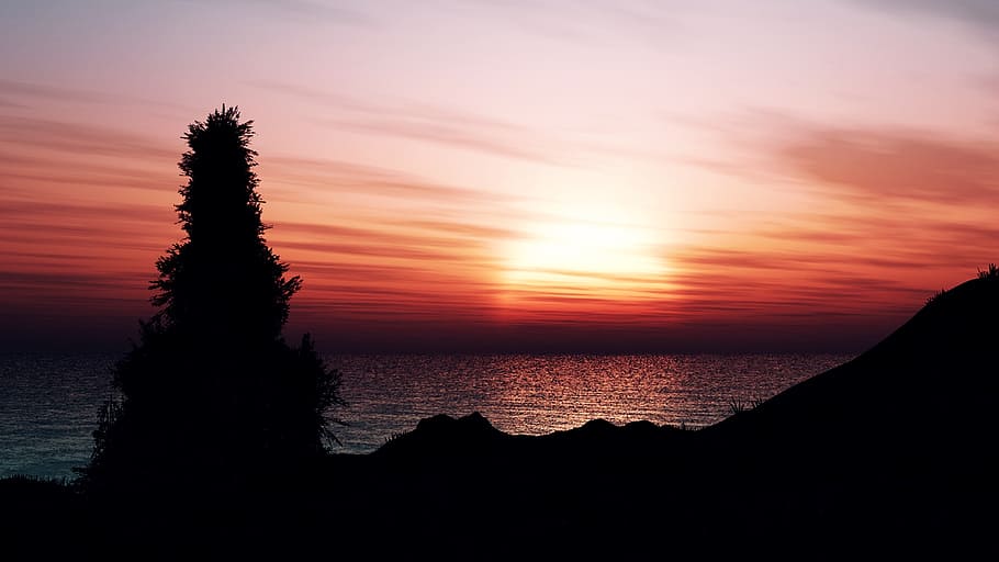 sunset, sea, tree, rock, afterglow, horizon, silhouette, water HD wallpaper