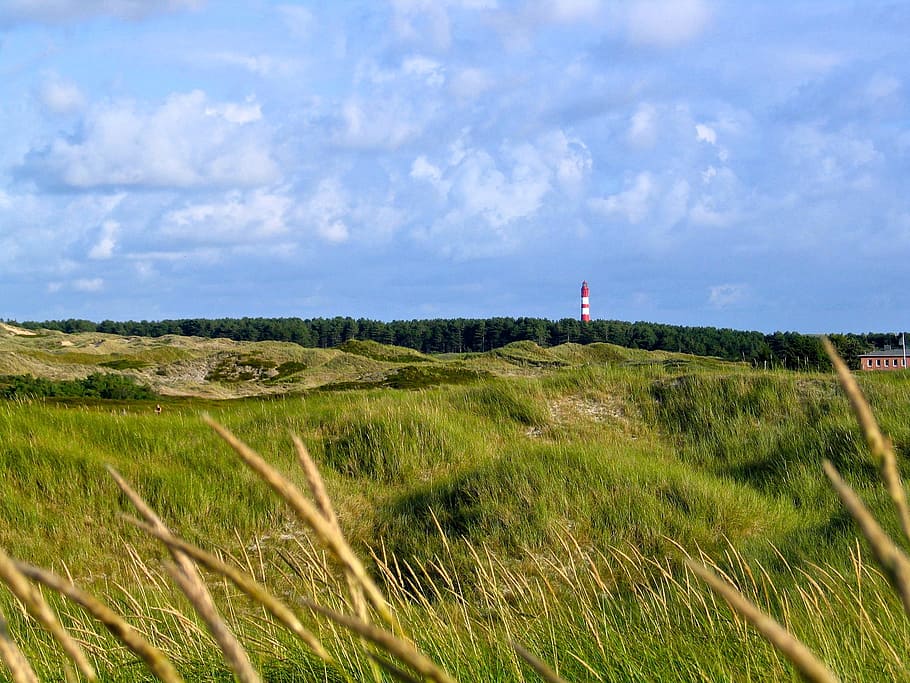 Dunes, Lighthouse, Nature, Green, Sky, blue, cloudiness, north sea HD wallpaper