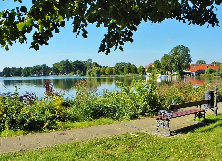 rest, bench, relaxation, lake, nature, water, plant, tree, day HD wallpaper