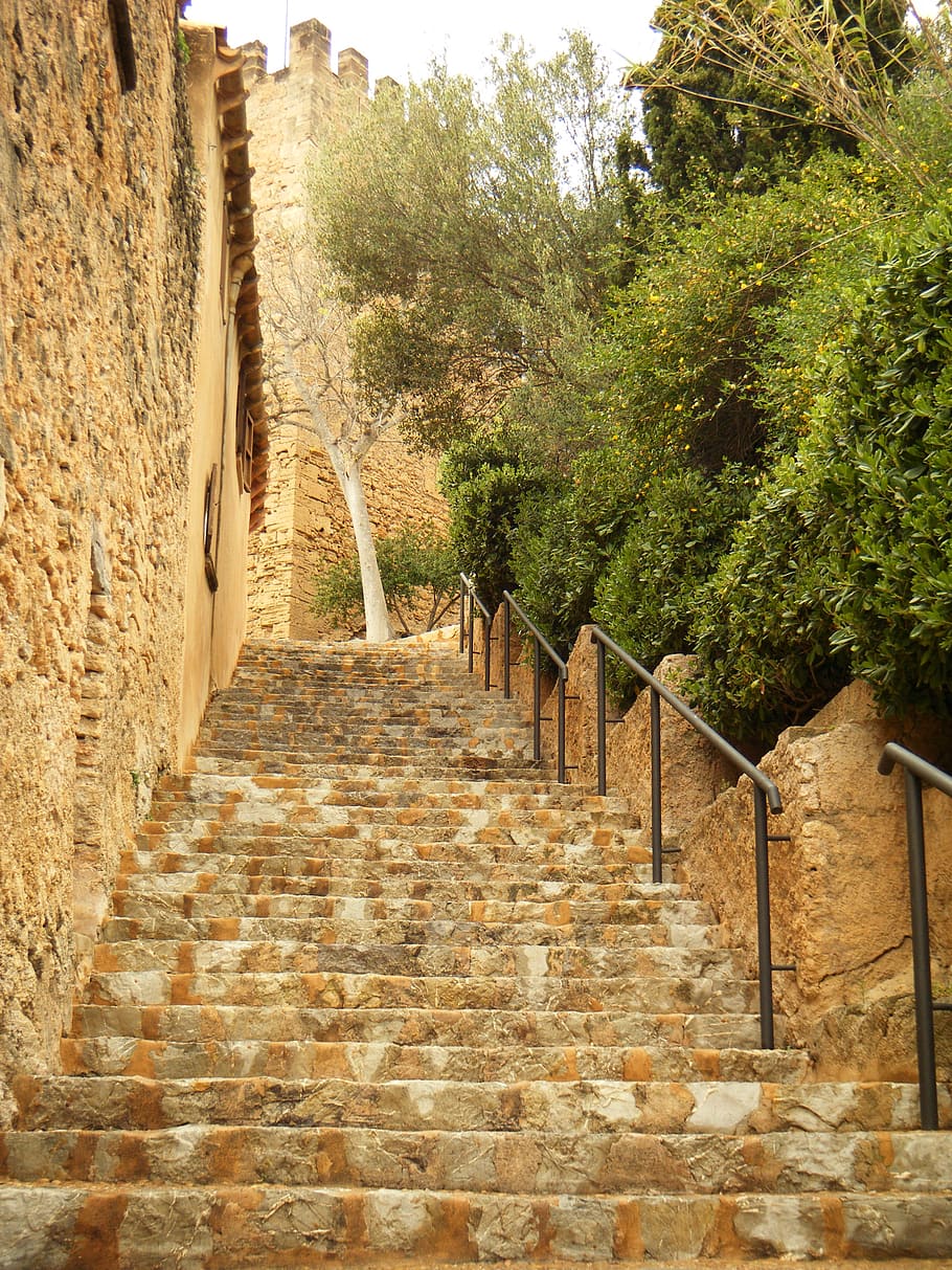concrete stairs with trees on side and wall, building, architecture HD wallpaper