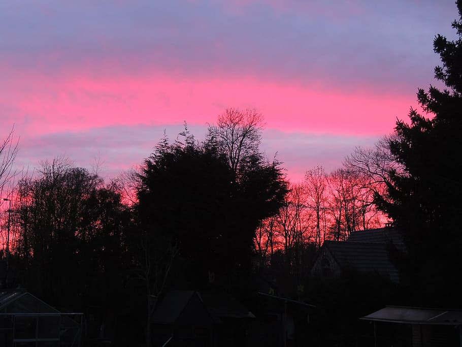 sunset, red, evening, pink, sky, twilight, village, dark, tree HD wallpaper