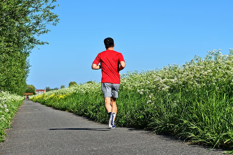 man jogging on pathway between grass plants during daytime HD wallpaper