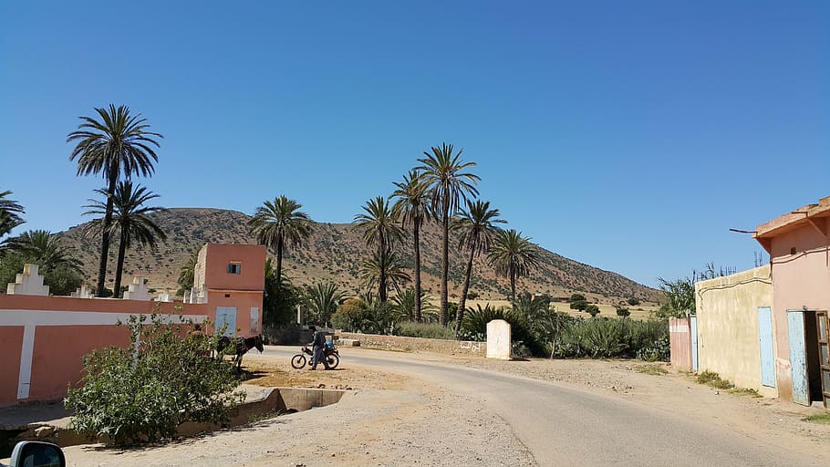 morocco, travel, douar, tree, building exterior, architecture HD wallpaper