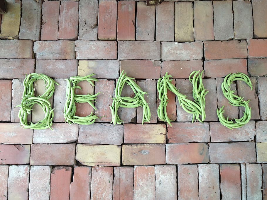 Beans, Vegetables, Vegetarian, green, fresh, raw, organic, natural HD wallpaper