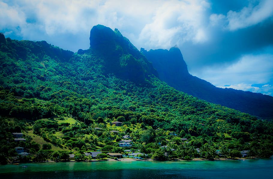 green leafed plants covered mountain, moorea, french polynesia, HD wallpaper