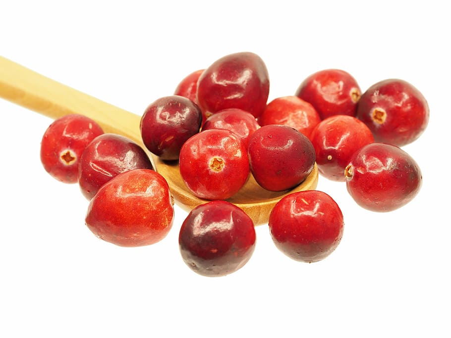 round red fruits, cranberry, spoon, sour, nature, delicious HD wallpaper
