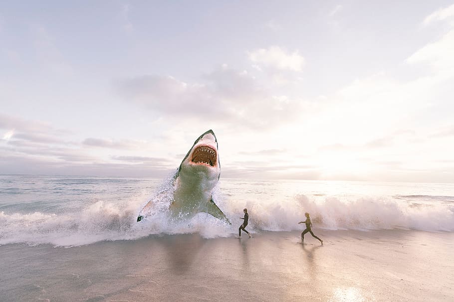 edited photo of great white shark on shore in front of two people running, HD wallpaper