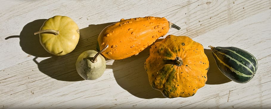 pumpkins, decorative, vegetables, yellow, orange, nature, colorful HD wallpaper
