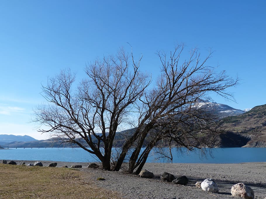 Tree, Lake, Mountain, Sky, Blue, landscape, alps, hautes alpes HD wallpaper