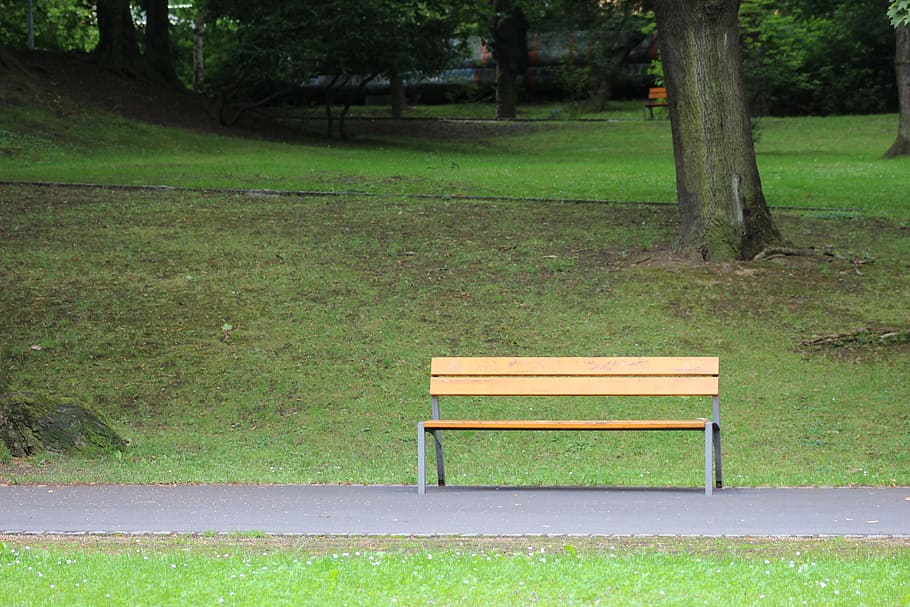 bench, park bench, grass, outdoors, summer, outside, natural HD wallpaper