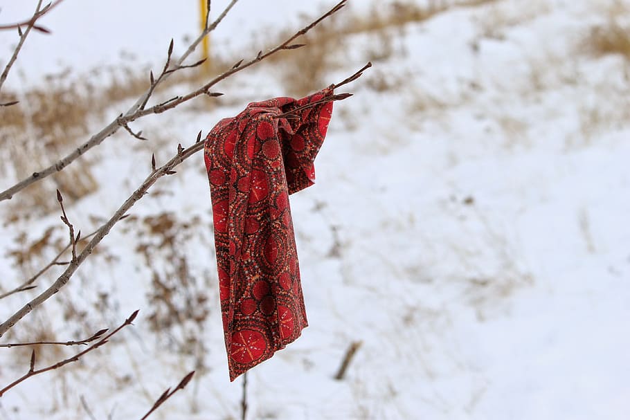 Scarf, Lost, Forgotten, Snow, Twig, winter, hanging, red, cold temperature HD wallpaper