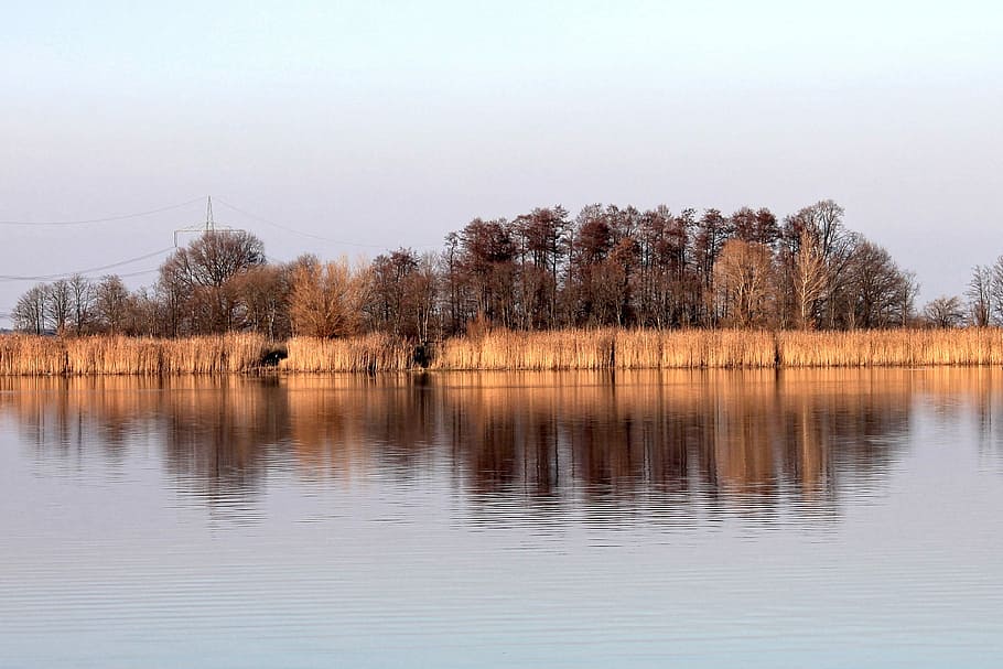 Lake, Trees, Shadow, Landscape, mirrored trees, reflection HD wallpaper