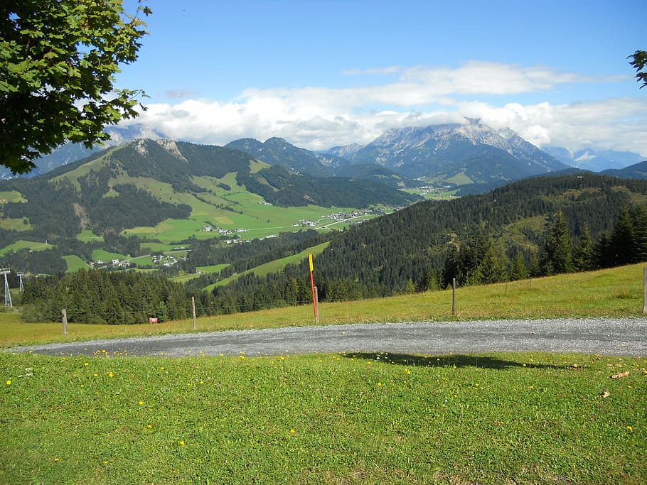 tyrol, mountains, hiking, plant, beauty in nature, tree, green color HD wallpaper