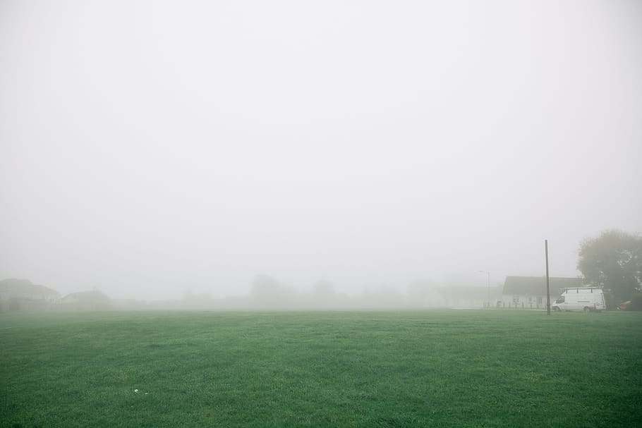In the mist, landscape, nature, grass, outdoors, tree, fog, green Color HD wallpaper