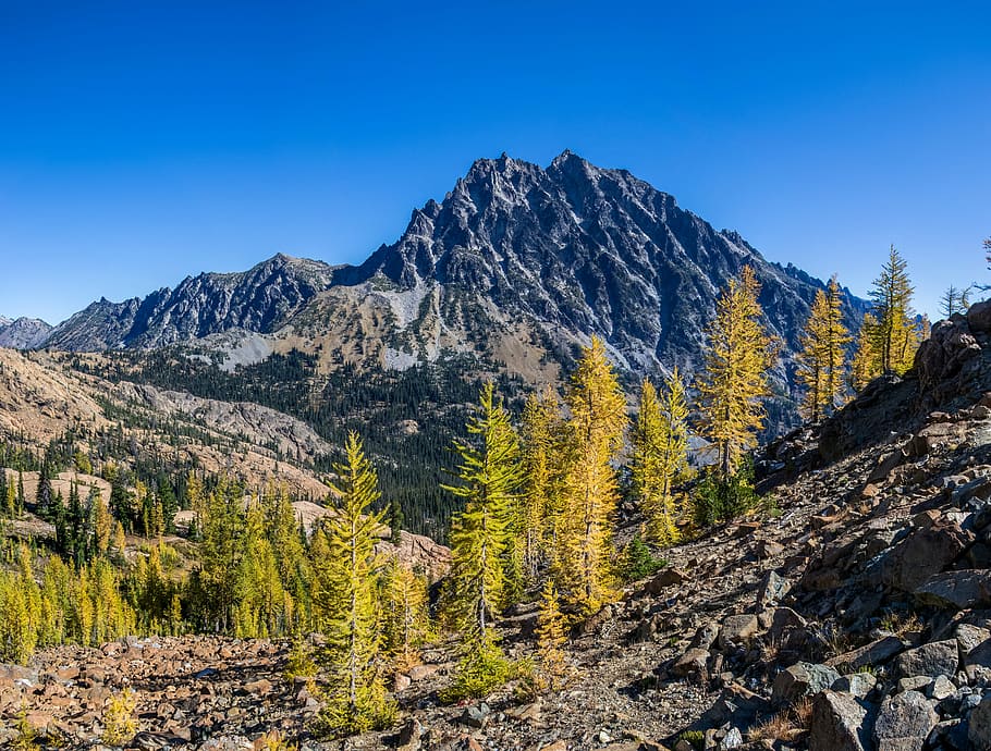  A rocky mountain landscape with a large, snow-capped peak in the distance and yellow and green trees in the foreground.