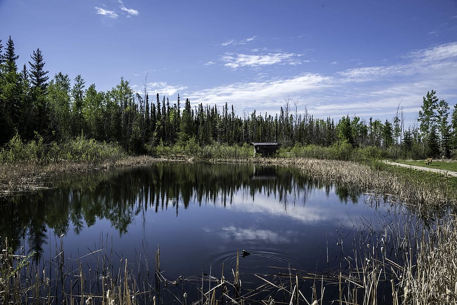 Pond Landscape at the Welcoming Center, Northwest Territories HD wallpaper