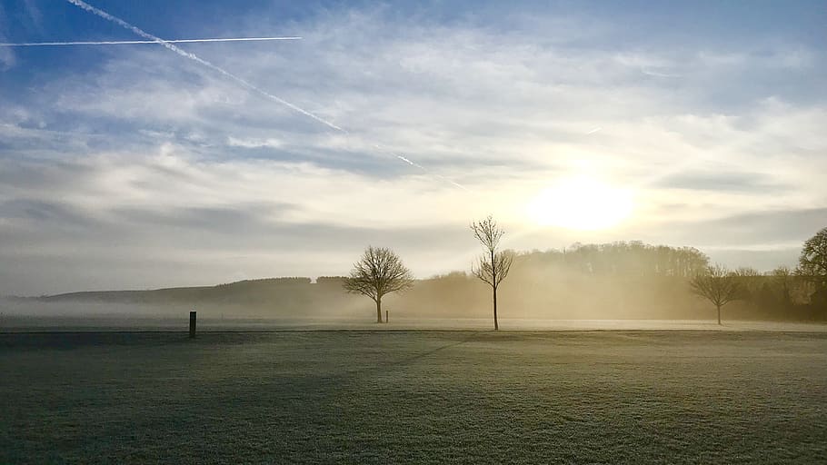 winter, trees, sun, field, landscape, fog, sky, plant, tranquil scene HD wallpaper