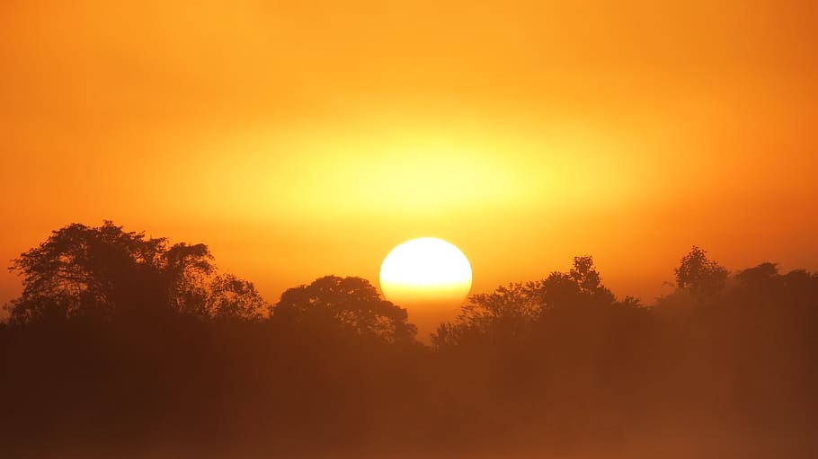 swamp, dawn, day, sol, sunshine, cloud, mato grosso, sunset HD wallpaper