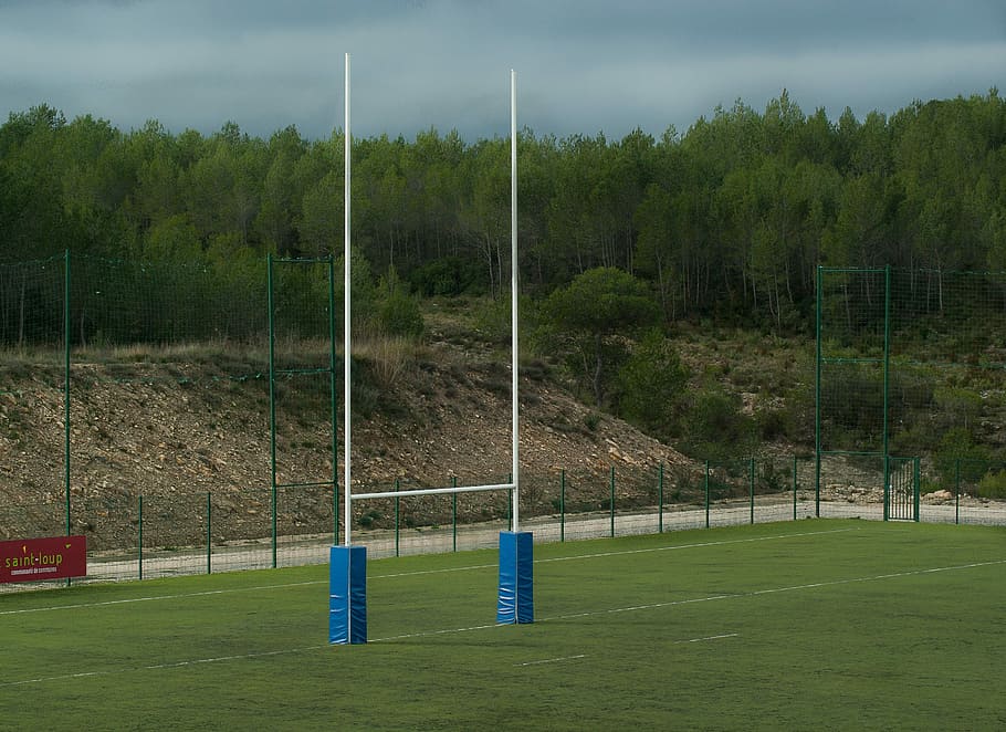 Rugby, Field, Poles, rugby field, testing, green color, sport