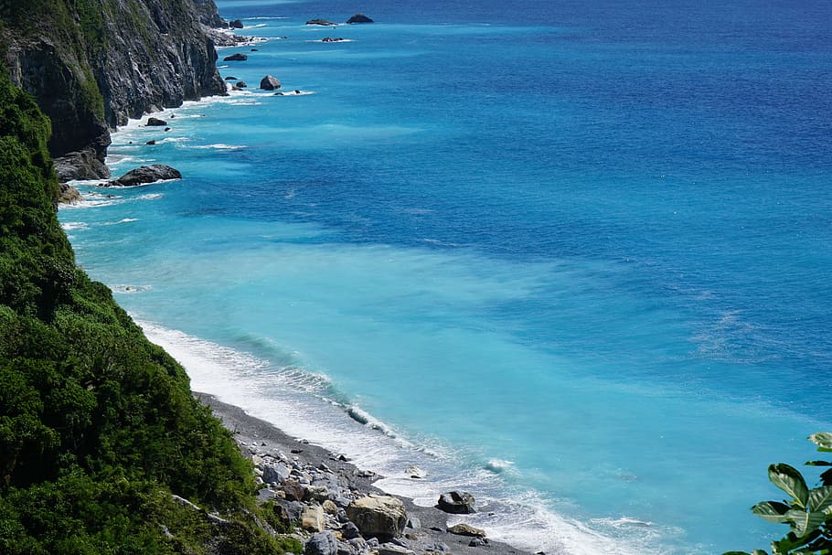 ocean, blue, tree, sky, sea, beach, summer, vacation, travel HD wallpaper