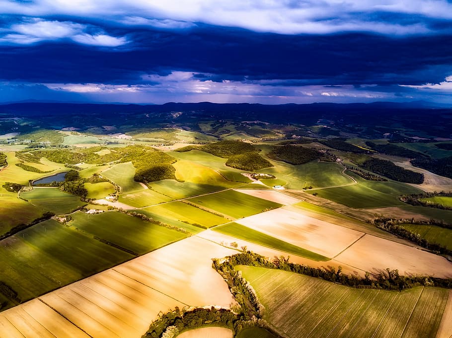 aerial view photography of rice field, italy, fields, meadow HD wallpaper