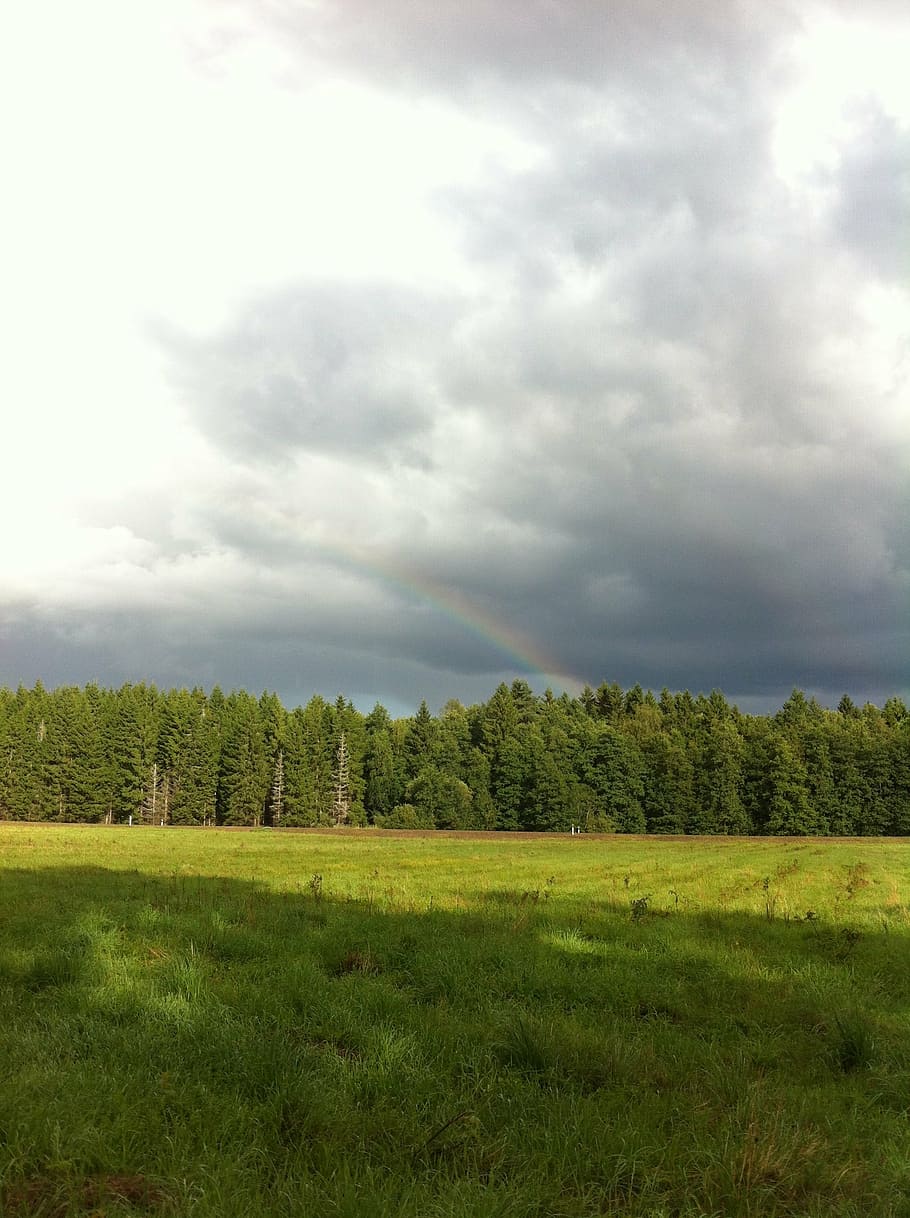 rainbow, summer, nature, green, landscapes, beautifully, bed HD wallpaper