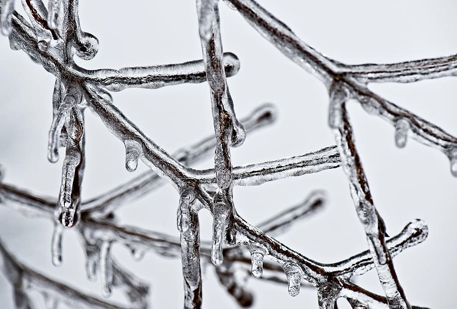 selective focus photography of icicle, ice, winter, weather HD wallpaper