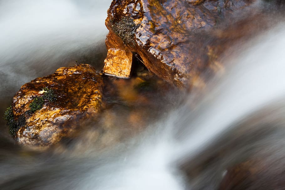 Abstract, Blur, Fall, Flow, blurred, flowing, forest, green HD wallpaper