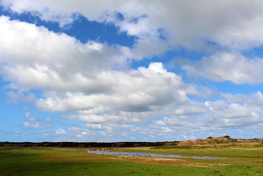 landscape, langeoog, nature, sky, coast, north sea, summer, HD wallpaper