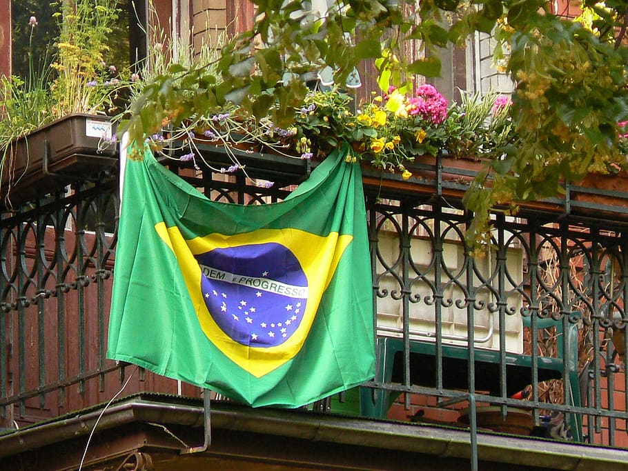 brazil, flag, balcony, patriotism, plant, day, pride, no people HD wallpaper