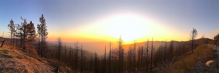 panoramic, sunset, landscape, nature, trees, sky, dusk, mountains HD wallpaper